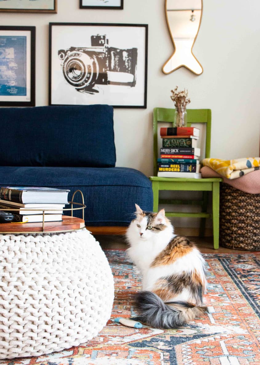 570-Square-Foot Seattle Studio Apartment Tour Photos | Apartment Therapy